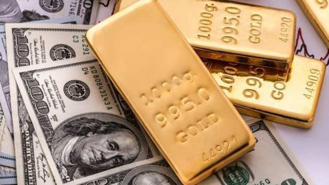 Gram altın mı karlı dolar mı?