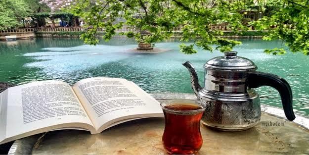 Şu an tam da burada olmalıydım.