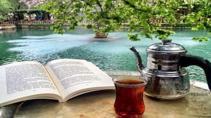 Sessiz ve sakin mi, hırçın ve aksi misin?