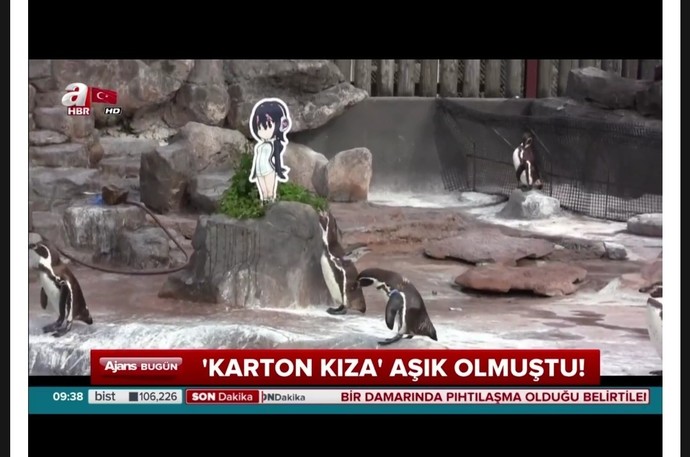 Aşık olmaman gereken birine aşık oldun mu?