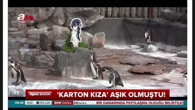 Aşık olmaman gereken birine aşık oldun mu?