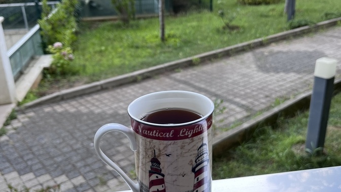 Çay içmeyi sever misiniz?
