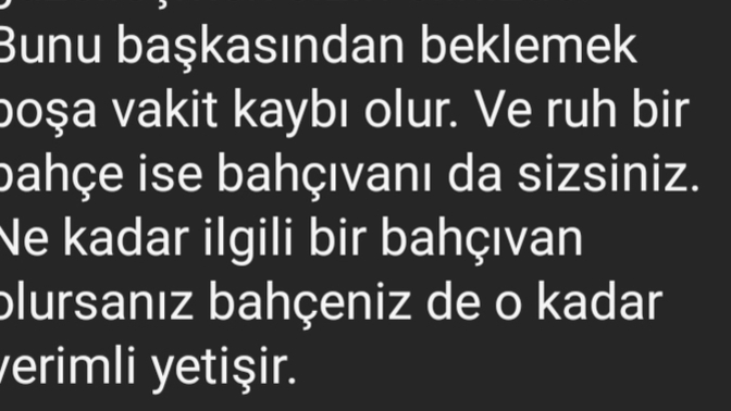 Nasılsınız? İyi misiniz? Gününüz nasıl geçti ?