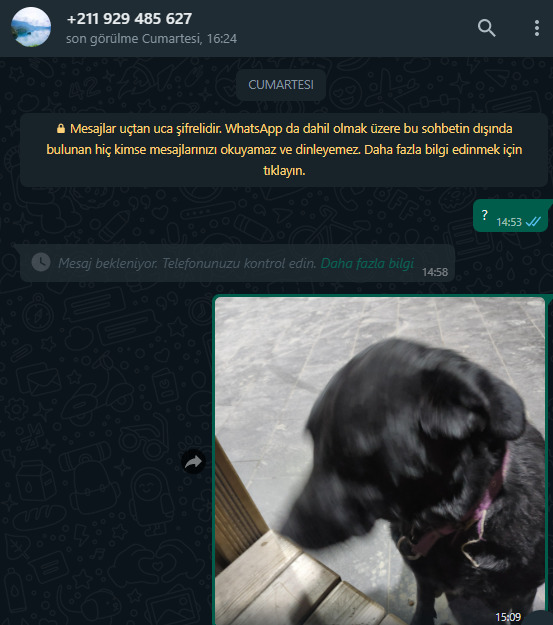Beni böyle bir numaralar arıyor WhatsApp'tan, nedir bu?