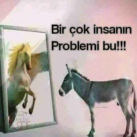 Ekonominin kötü olduğunu en çok neyin fiyatından anlıyorsunuz?