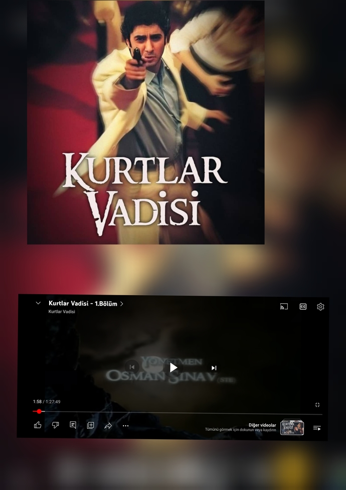 Kurtlar vadisini tekrar izler misiniz?