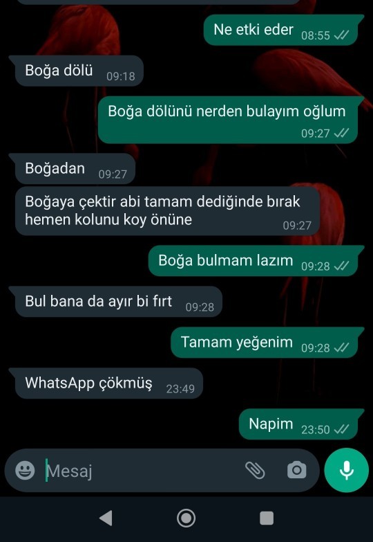 WhatsApp'ın çöktüğünü haberlerden öğrenen yalnız tayfa burada mı?