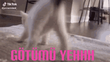 Bugüne kadar hiç sevgilisi olmayan ve çıkma teklifi bile almayan kızın nedeni nedir?