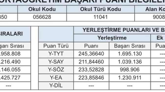 Şimdi benim puanım kaç, hangi puanla tercih yapacağım?