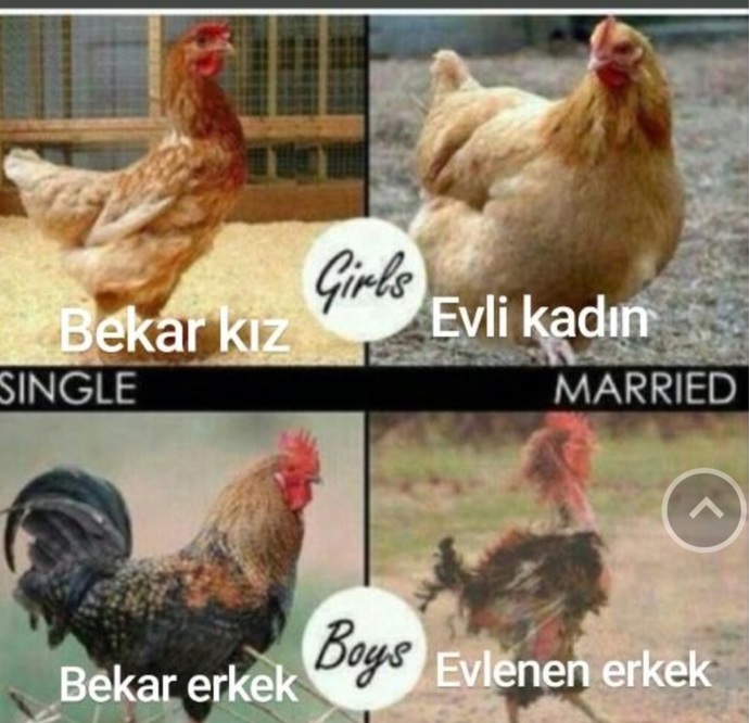 Evlilik insanı yaşlandırır mı, gençleştirir mi?