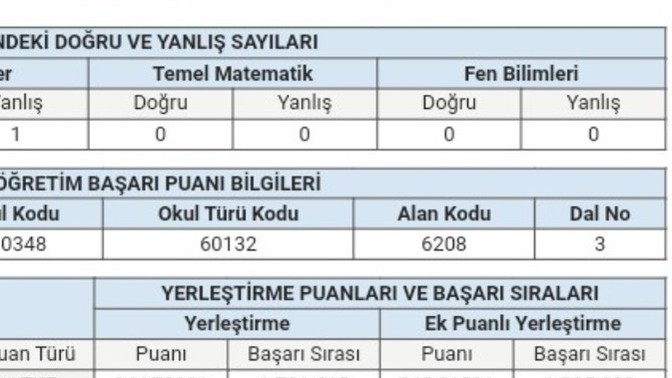 Ek puanlı yerleştirme ne?