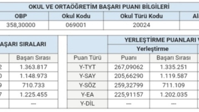 Evde çalışarak bir milyon üç yüz bininci sıraya girdim sizce bu nasıl?
