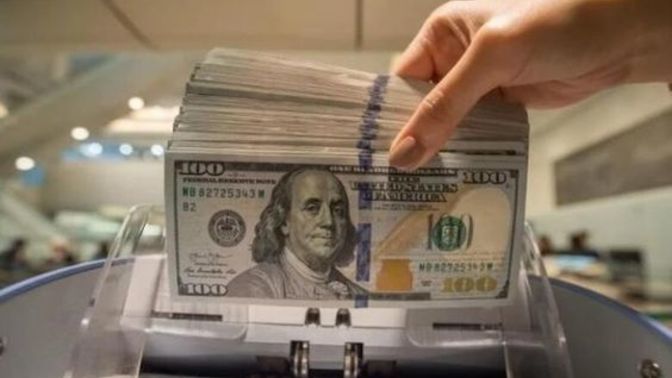 Yatırım için Dolar mı, Euro mu yoksa altın mı almalıyım sizce ne yapayım?