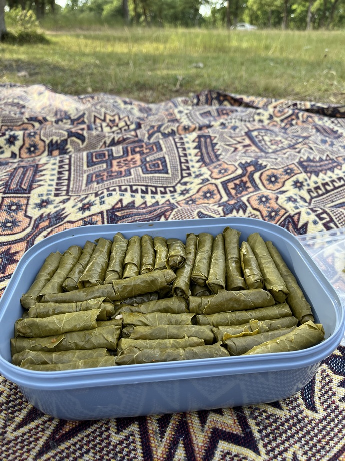 Yaprak sarmada ne kadar başarılısınız?