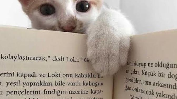 En çok hangi özelliğinle ilgi çekiyorsun?