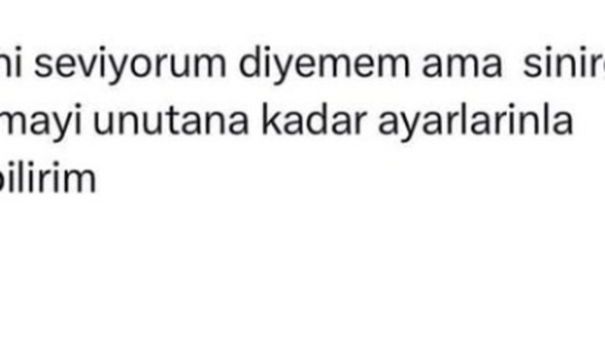 Seni seviyorum diyemem ama?