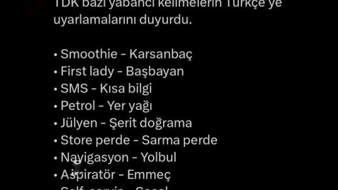 TDK'nın yeni uyarladıkları kelimeleri nasıl buldunuz?