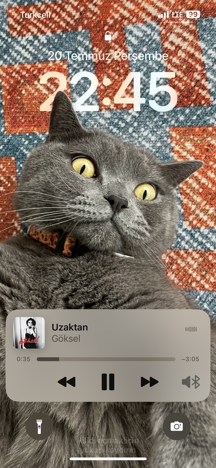 Güzel bir şarkı bırakalım mı geceye?
