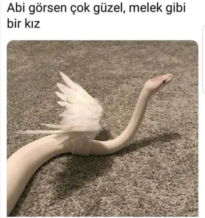 Anlayışlı biri misiniz?