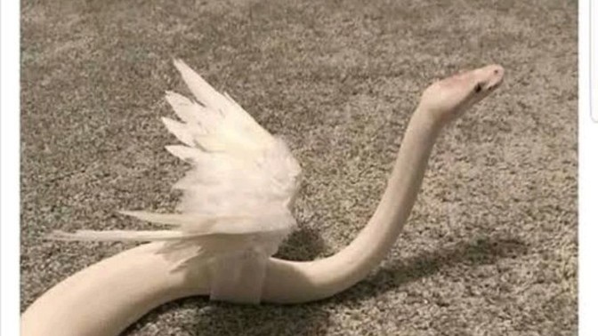 Anlayışlı biri misiniz?