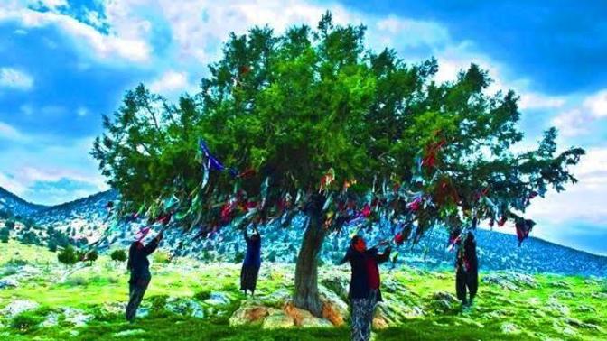 Sizin veya çevrenizdeki insanların batıl inançları var mı?