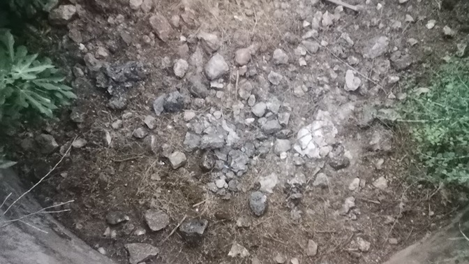 Çok yorgunum ama gezmek deyince bir başka oluyorum 😀 sen ne düşünüyorsun?