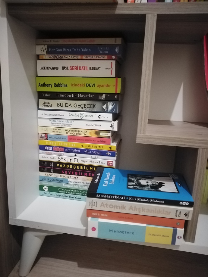 Kitap okuyor musunuz okuduğunuz kitaplar hangileri?