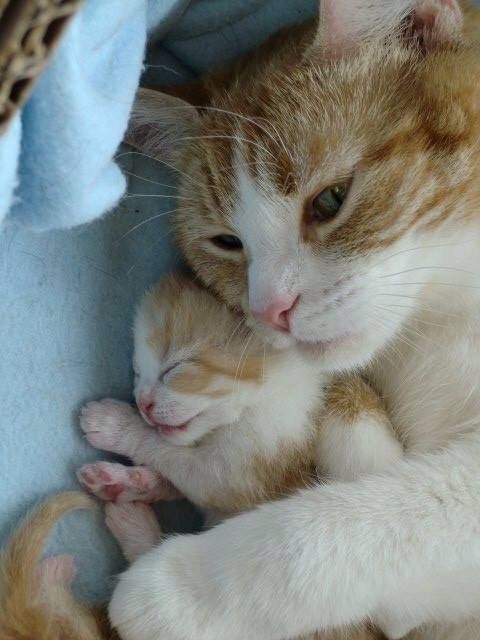 Ne olursa olsun ama tamam diye devam edilir mi söylediklerime?