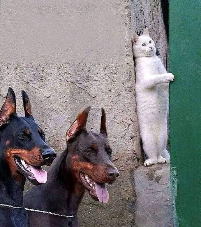 En korktuğunuz an hangi andı?
