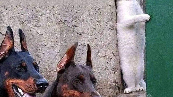 En korktuğunuz an hangi andı?