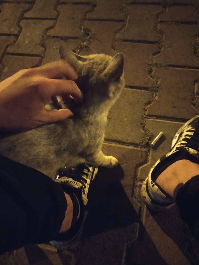 Gece dışarı çıkmayı seviyor musunuz?