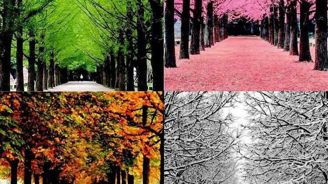 Dışarıda hangisi ne farkeder asıl senin içindeki mevsim hangisi?