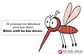 umarım bir gün buluruz 😄