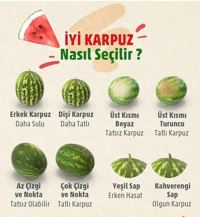 Anlar mısınız karpuzun iyisinden 😄