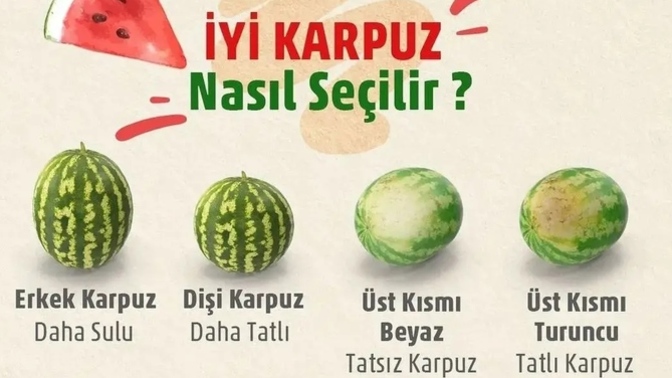 Karpuzun iyisini nasıl seçersiniz?