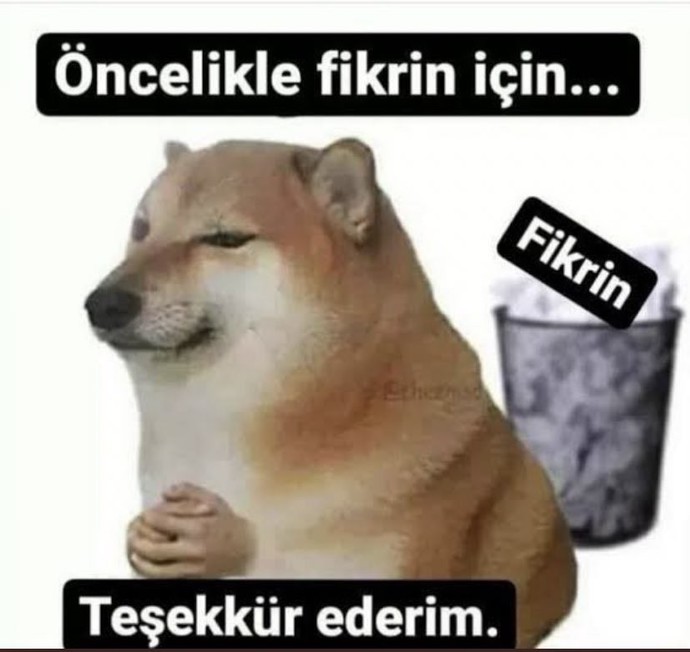 Sizi eleştirenleri umursar mısınız?