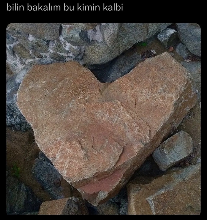Kalbi taşa çeviren nedenler nelerdir?