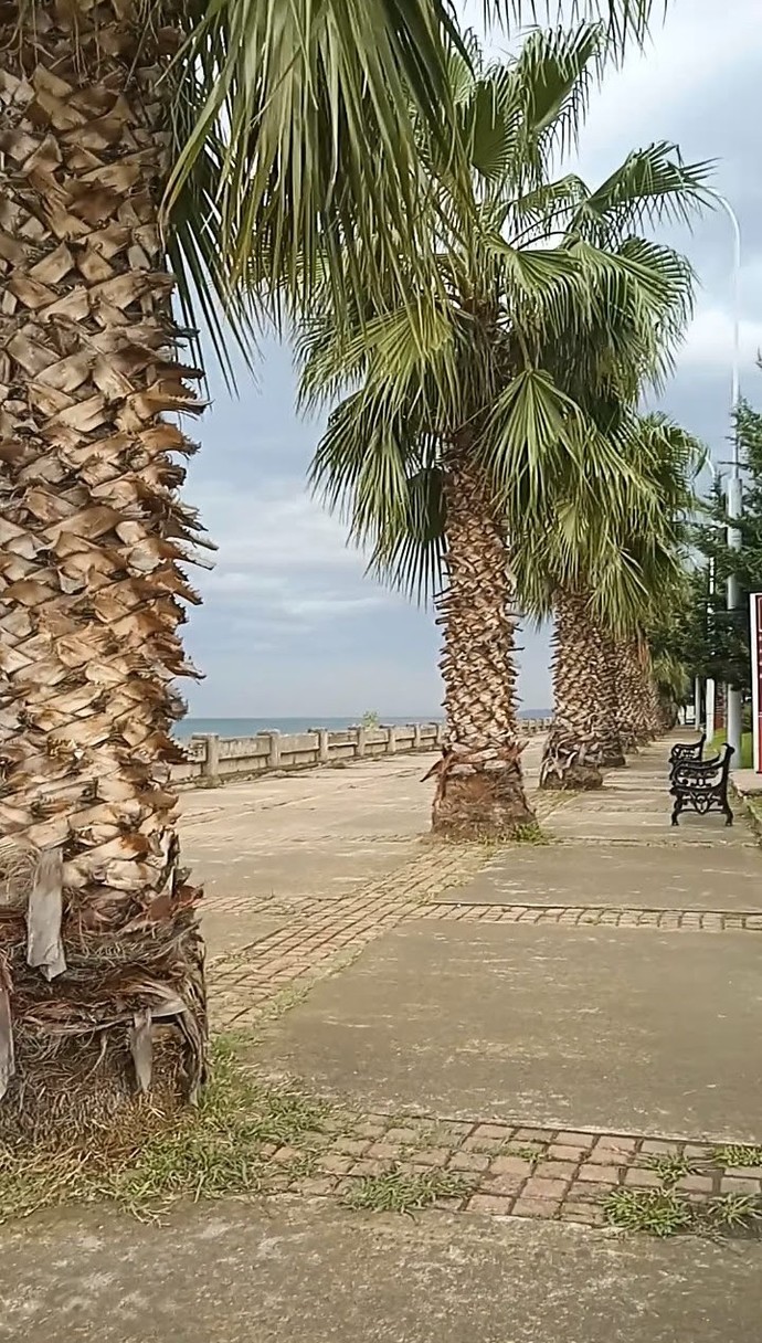 En son çektiğiniz şey nedir?
