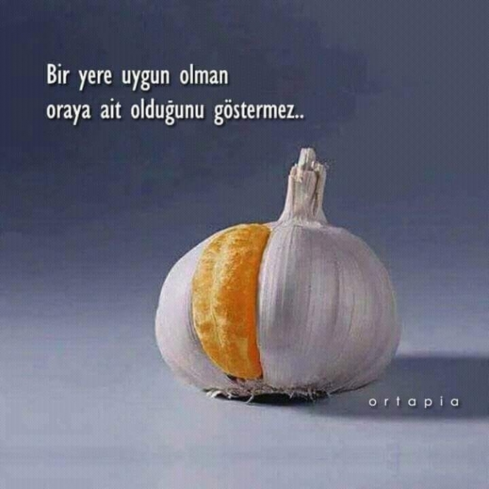 Kendinizi, olduğunuz yere ait hissediyor musunuz?