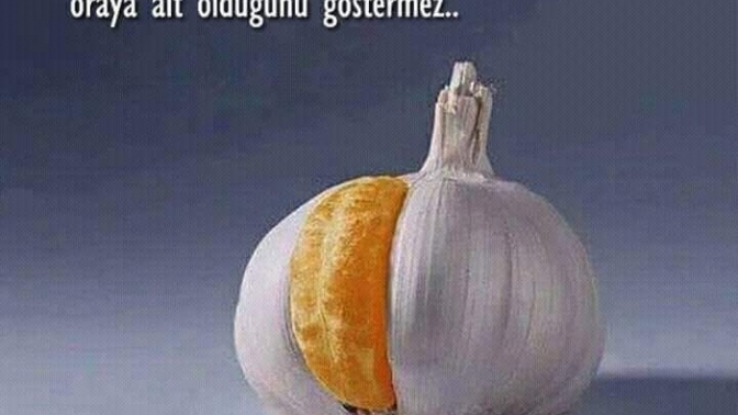 Kendinizi, olduğunuz yere ait hissediyor musunuz?
