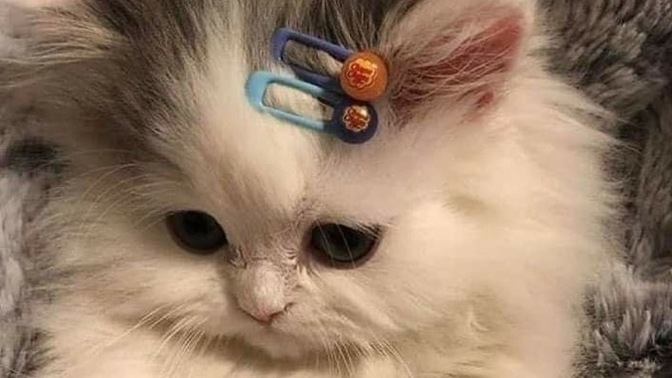 Kalbiniz kolay kırılır mı?