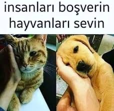 Sokak hayvanları hakkında ne düşünüyorsunuz? Minik arkadaşlarımızla neler yapmayı seversiniz?