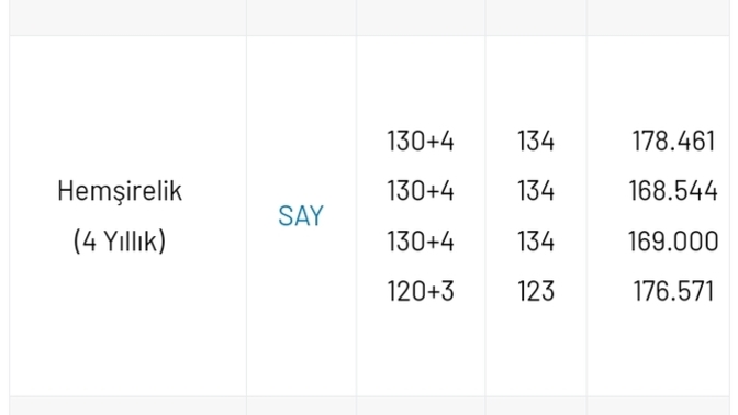 Hemşirelikte 4 yıllık ve yüksekokul arasındaki fark ne?