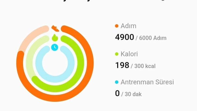 Günde kaç adım atıyorsunuz? Bu gün adım atma rekorumu kırmış olabilir miyim?
