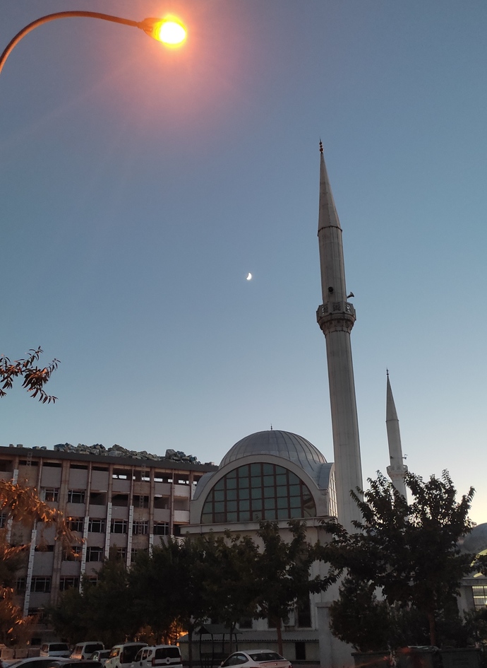 Yakaladığım fotoğraf karesi çok güzel değil mi 🥰?
