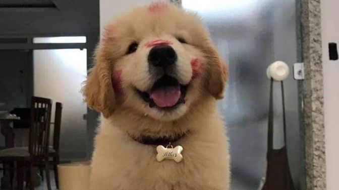 Yeni doğan erkek köpeğime isim önerir misiniz?