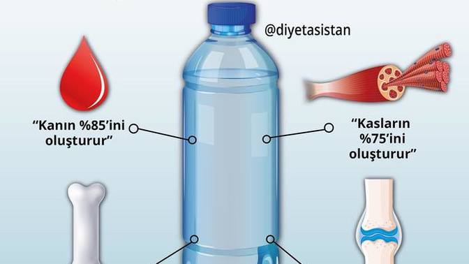 Günlük ne kadar su içersin?