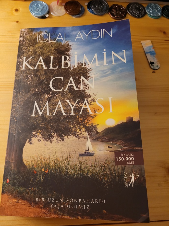 Buna başladım. Şaşırtmadı yine İclal Aydının kitabı güzelliğiyle.😌