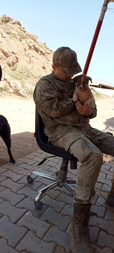 40 derece sıcaklıkta sokaktaki canlara mama ve su vermeye onlara bakmaya gidiyor musun?