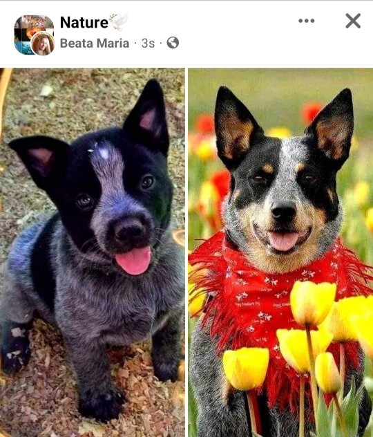 Facebookta hoşunuza giden grup veya sayfalar var mı?